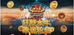 《狂野水牛 幸運輪盤》QT老虎機遊戲詳細介紹